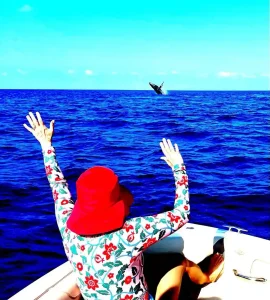 Whale Watching Cabo popular Destinations