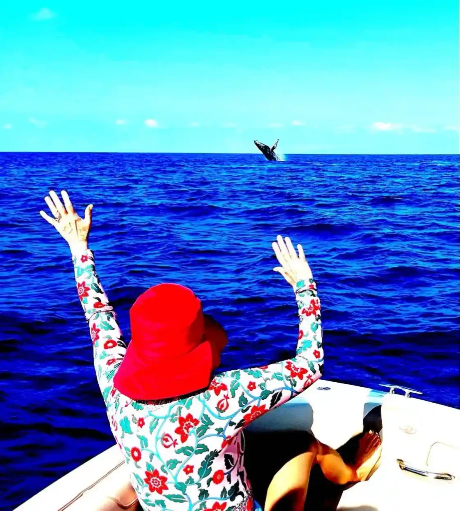 Whale Watching Cabo popular Destinations