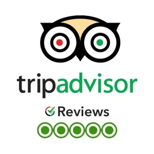 Cabo Airport Shuttle Trip Advisor Reviews Logo