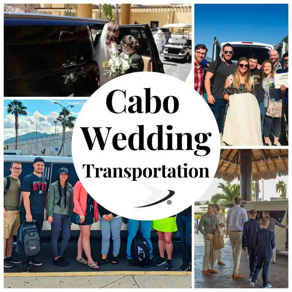 Cabo Wedding Transportation Services Cabo Wedding Transportation Collage