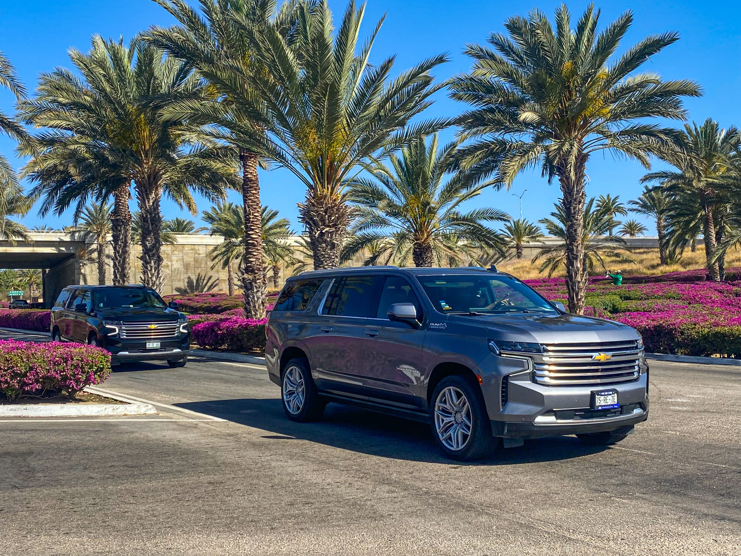 Cabo Shuttle Services