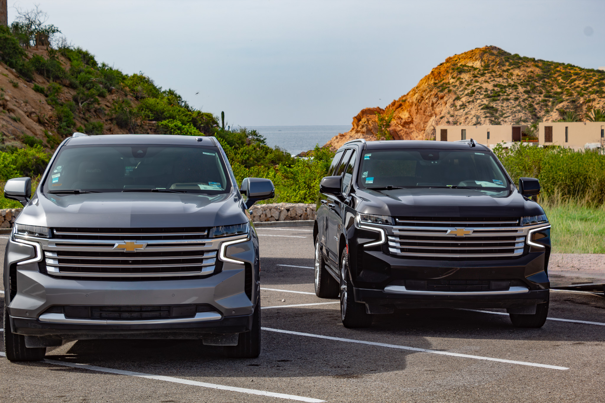 Cabo Shuttle services